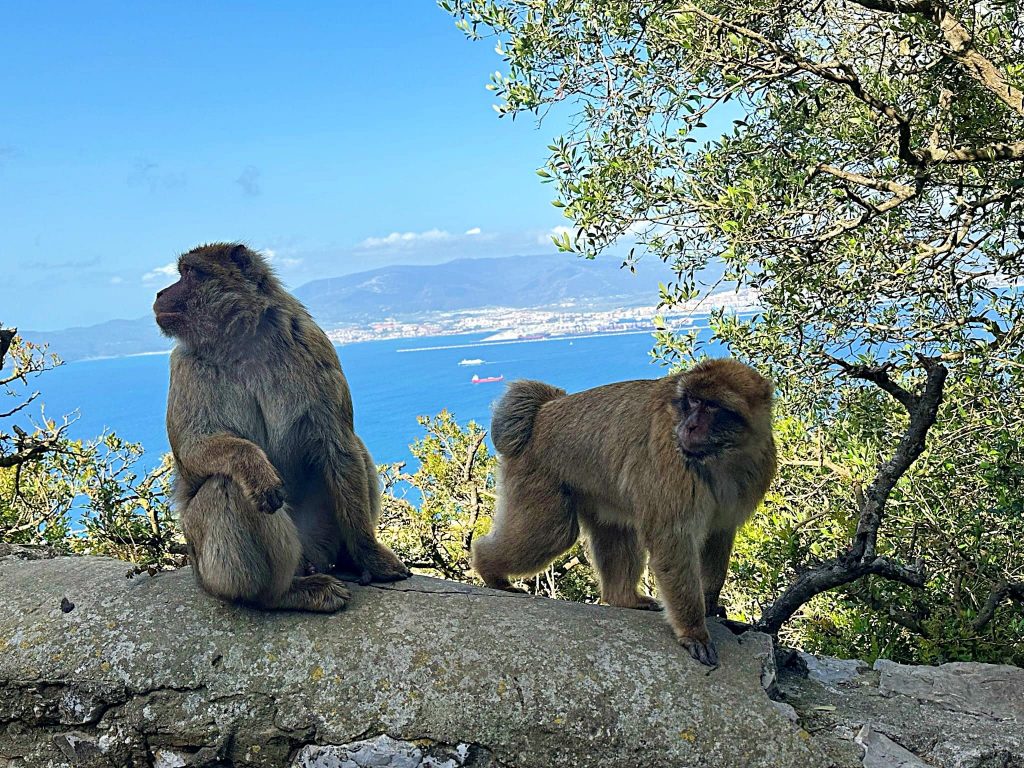 GIBRALTAR